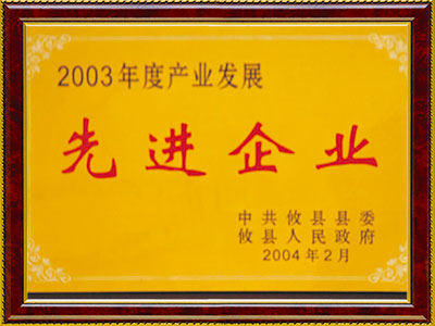 2003  先進(jìn)企業(yè)