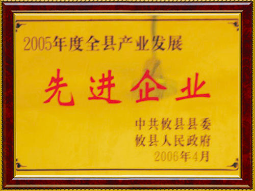 2005  先進(jìn)企業(yè)